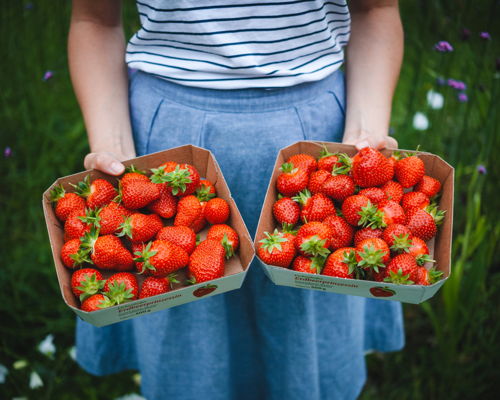 Eickenhofer Erdbeeren in Pappschale werden in der Hand gehalten