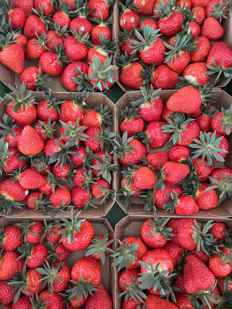 Eickenhofer Erdbeeren in Pappschalen